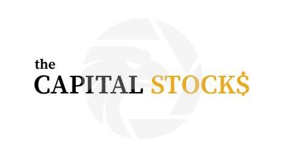  The Capital Stocks