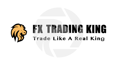 FX Trading King