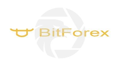 Bitforex 24 Trading