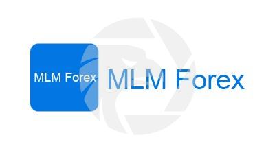 MLM Forex