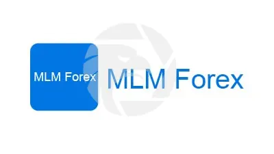 MLM Forex