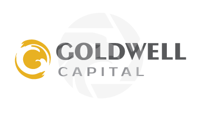 Fake Goldwell Capital