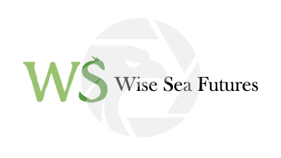 Wise Sea Futures