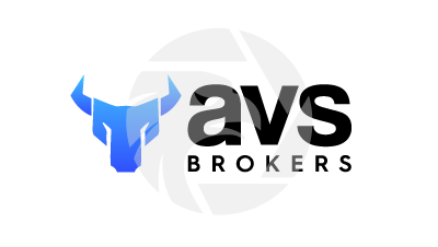 AVS BROKERS