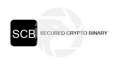 Secured Crypto Binary