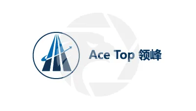 Fake Ace Top
