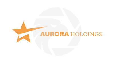 AURORA HOLDINGS