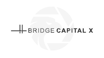 Bridge Capital X