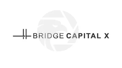 Bridge Capital X