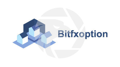 BitFX Option