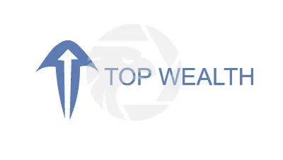 TOP WEALTH