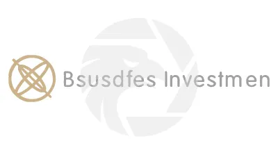 Bsusdfes Investmen