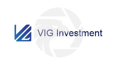 VIG Investment先锋国际投资集团