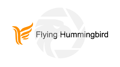 Flying Hummingbird