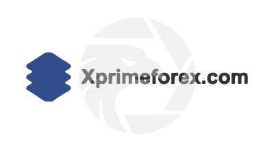 X PRIME FOREX