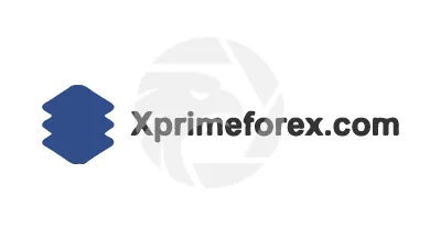 X PRIME FOREX
