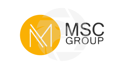 MSC GROUP德勤证券