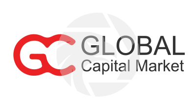 Global Capital Market