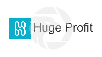 HUGE PROFIT GLOBAL LIMITED