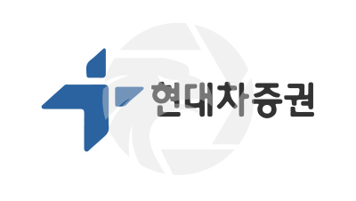 HYUNDAI MOTOR SECURITIES