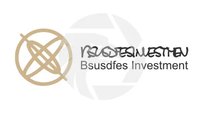 Bsusdfes Investment