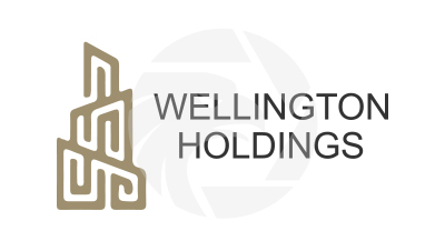 Wellington Holdings