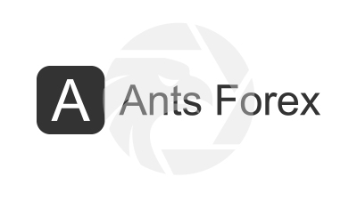 Ants Forex