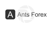 Ants Forex