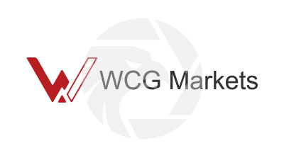 WCG文传金业