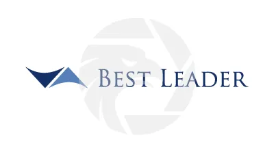 Best Leader