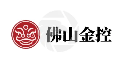 FOSHAN FINANCIAL HOLDINGS佛山金控