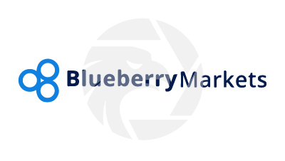 Blueberry Markets蓝莓市场