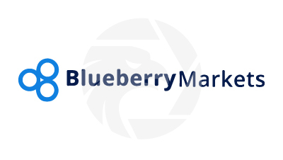 Blueberry Markets蓝莓市场