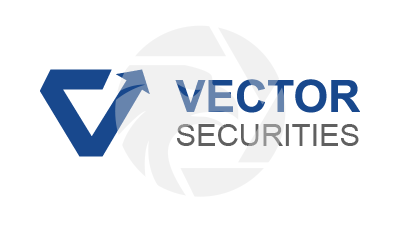 VECTOR SECURITIES