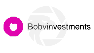 Bobvinvestments