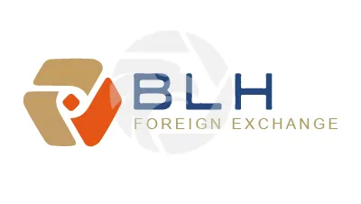 BLH Forex