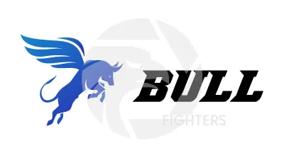 Bull Fighters