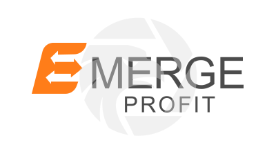 Emerge Profit