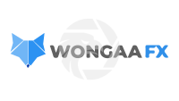 Wongaa FX