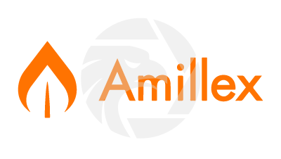 Amillex 安迈国际