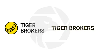 TIGER BROKERS