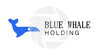 BlueWhaleHolding