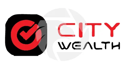 CITY WEALTH
