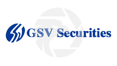 GSV Securities