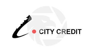 CITY CREDIT