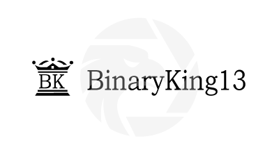 BinaryKing13