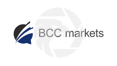  BCC markets limited