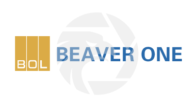 BEAVER ONE必拓金融