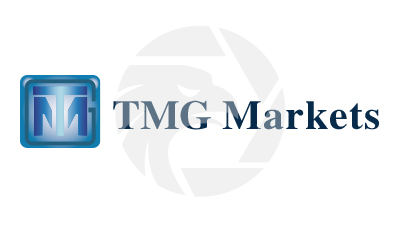 Tmg. Nika TMG. Nika TMG logo. TMG агентство логотип.