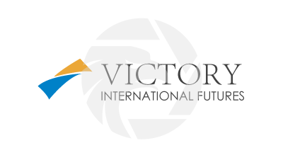 VICTORY INTERNATIONAL FUTURES 